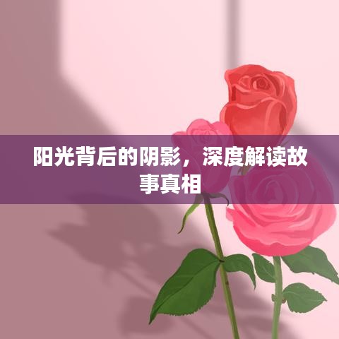 陽光背后的陰影，深度解讀故事真相