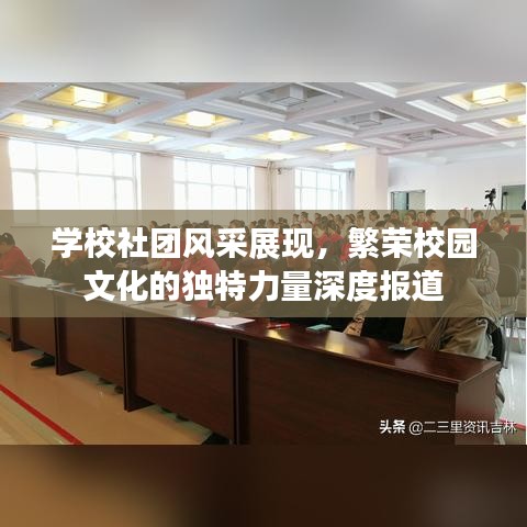 學(xué)校社團(tuán)風(fēng)采展現(xiàn)，繁榮校園文化的獨特力量深度報道