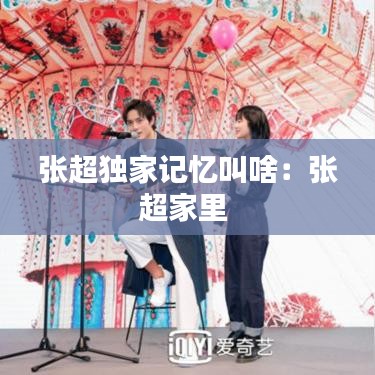 氣囊 第111頁