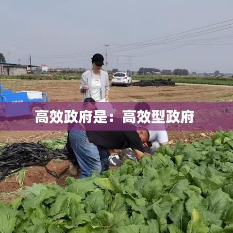戶外裝備 第115頁(yè)