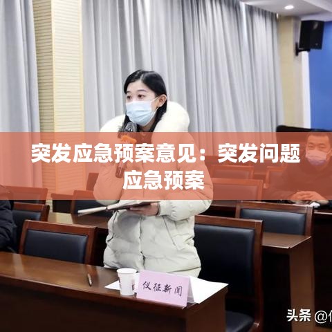 突發(fā)應急預案意見：突發(fā)問題應急預案 