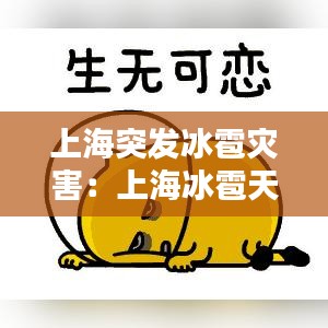 精益求精 第4頁(yè)