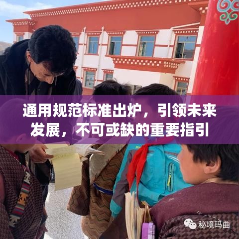 通用規(guī)范標(biāo)準(zhǔn)出爐，引領(lǐng)未來發(fā)展，不可或缺的重要指引