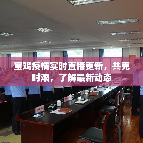 寶雞疫情實時直播更新，共克時艱，了解最新動態(tài)