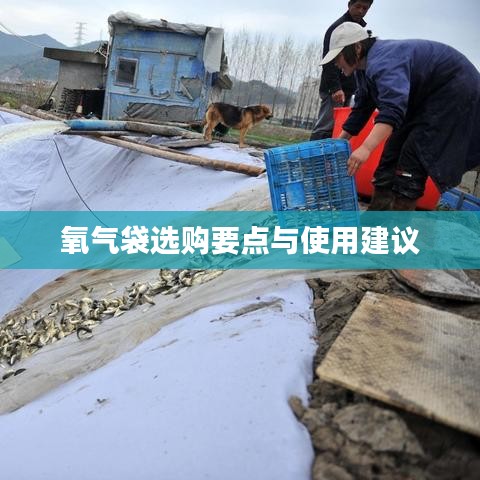 氧氣袋選購(gòu)指南，要點(diǎn)解析與使用建議