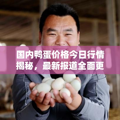 國內(nèi)鴨蛋價格今日行情揭秘，最新報道全面更新