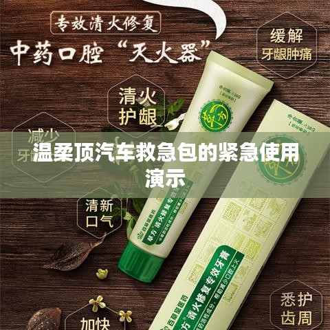 溫柔頂汽車救急包緊急使用指南，演示篇