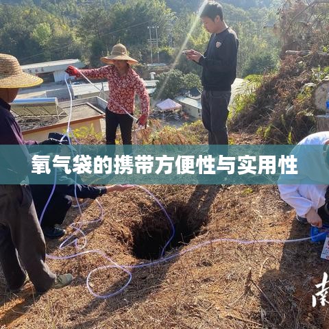 氧氣袋便攜實用，應急醫(yī)療好幫手