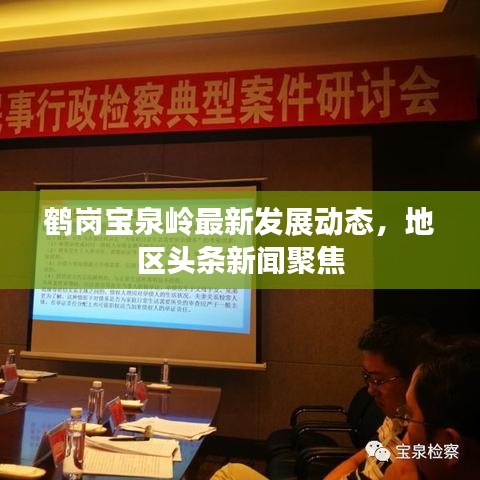 鶴崗寶泉嶺最新發(fā)展動態(tài)，地區(qū)頭條新聞聚焦