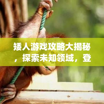 矮人游戲攻略大揭秘，探索未知領(lǐng)域，登頂頂尖玩家之路！