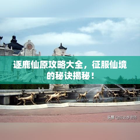 逐鹿仙原攻略大全，征服仙境的秘訣揭秘！