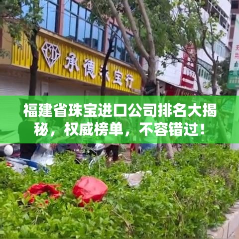 福建省珠寶進(jìn)口公司排名大揭秘，權(quán)威榜單，不容錯(cuò)過(guò)！