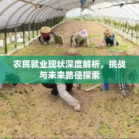 農(nóng)民就業(yè)現(xiàn)狀深度解析，挑戰(zhàn)與未來路徑探索