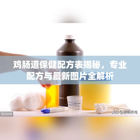 雞腸道保健配方表揭秘，專業(yè)配方與最新圖片全解析