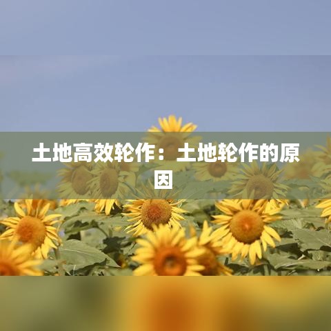 張張屈屈 第3頁(yè)