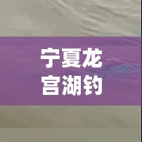寧夏龍宮湖釣魚秘籍，最新攻略全解析！