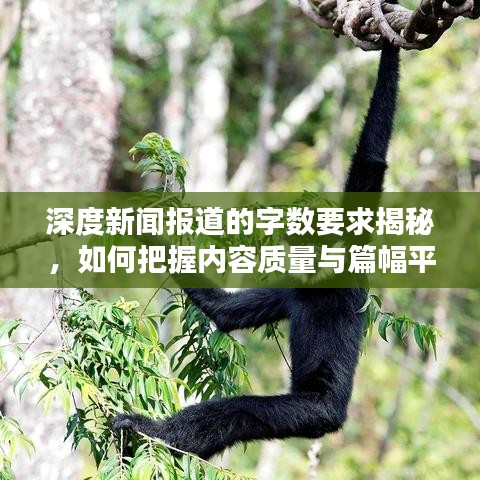 深度新聞報道的字數(shù)要求揭秘，如何把握內(nèi)容質(zhì)量與篇幅平衡？