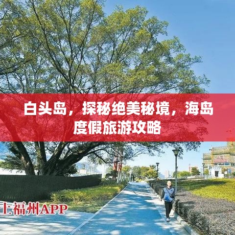 白頭島，探秘絕美秘境，海島度假旅游攻略