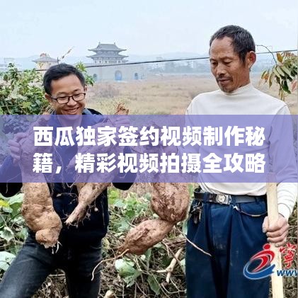 西瓜獨(dú)家簽約視頻制作秘籍，精彩視頻拍攝全攻略
