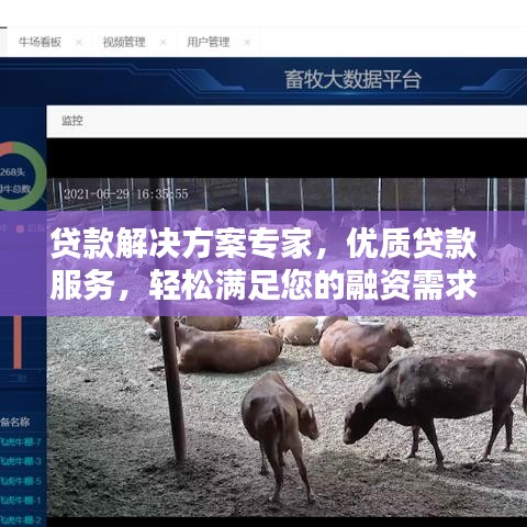 貸款解決方案專家，優(yōu)質(zhì)貸款服務(wù)，輕松滿足您的融資需求！