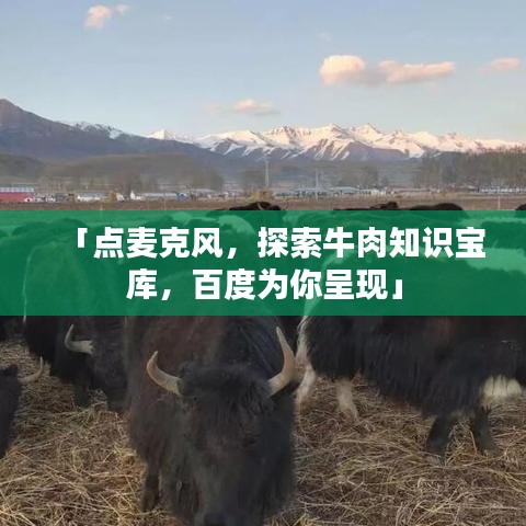 「點(diǎn)麥克風(fēng)，探索牛肉知識(shí)寶庫(kù)，百度為你呈現(xiàn)」