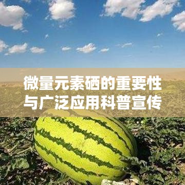 微量元素硒的重要性與廣泛應(yīng)用科普宣傳啟動(dòng)！