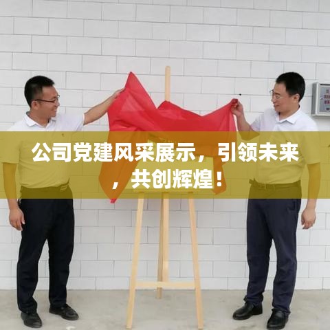 公司黨建風(fēng)采展示，引領(lǐng)未來，共創(chuàng)輝煌！