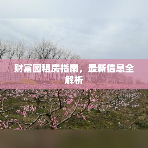 財富園租房指南，最新信息全解析