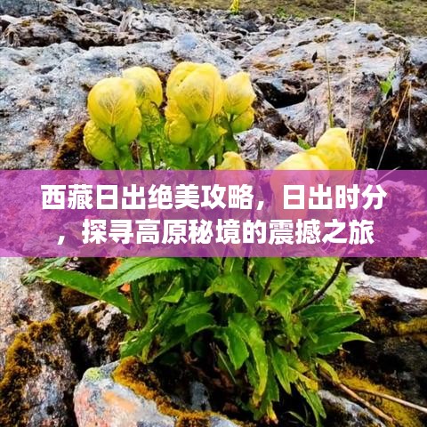 西藏日出絕美攻略，日出時(shí)分，探尋高原秘境的震撼之旅