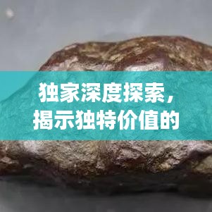 獨家深度探索，揭示獨特價值的奧秘之旅