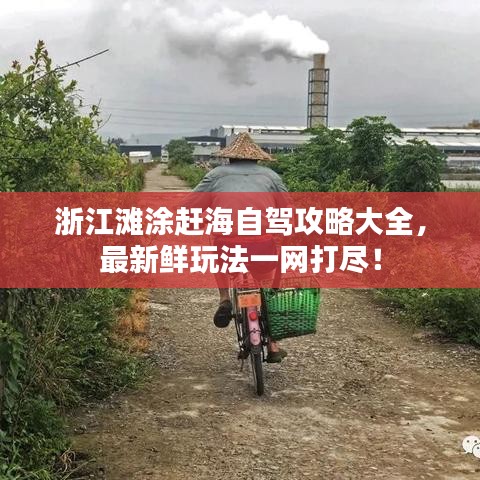 浙江灘涂趕海自駕攻略大全，最新鮮玩法一網(wǎng)打盡！