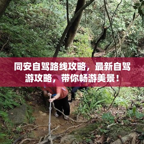 同安自駕路線攻略，最新自駕游攻略，帶你暢游美景！