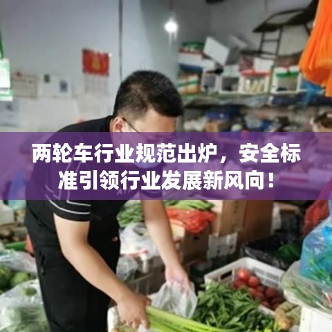 兩輪車行業(yè)規(guī)范出爐，安全標準引領行業(yè)發(fā)展新風向！
