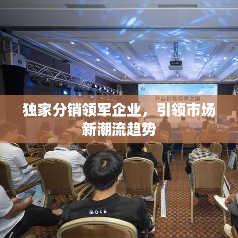 獨家分銷領(lǐng)軍企業(yè)，引領(lǐng)市場新潮流趨勢