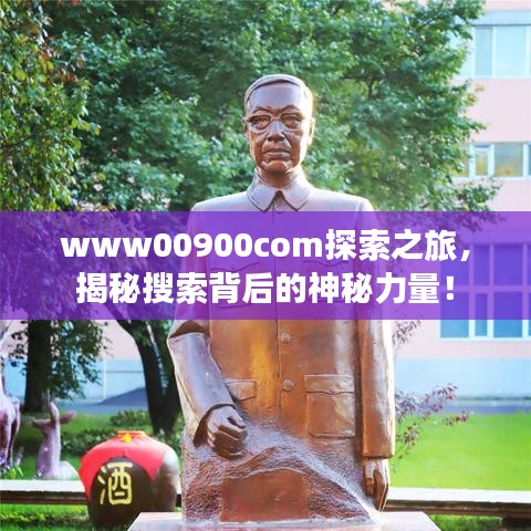 www00900com探索之旅，揭秘搜索背后的神秘力量！