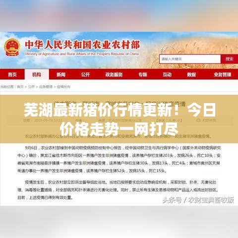 蕪湖最新豬價(jià)行情更新！今日價(jià)格走勢一網(wǎng)打盡