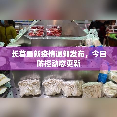 長葛最新疫情通知發(fā)布，今日防控動態(tài)更新