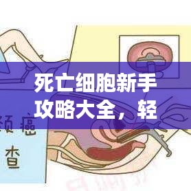 死亡細胞新手攻略大全，輕松上手游戲秘籍！