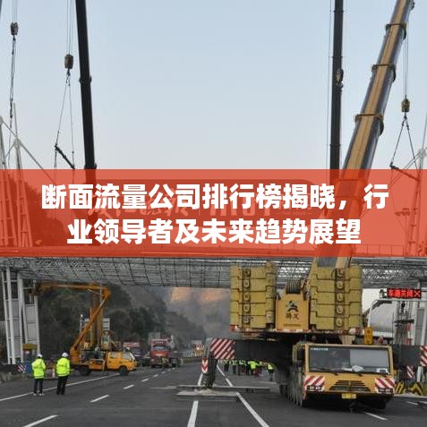 斷面流量公司排行榜揭曉，行業(yè)領導者及未來趨勢展望