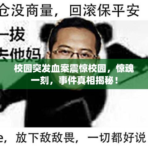 校園突發(fā)血案震驚校園，驚魂一刻，事件真相揭秘！