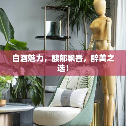 白酒魅力，馥郁飄香，醉美之選！