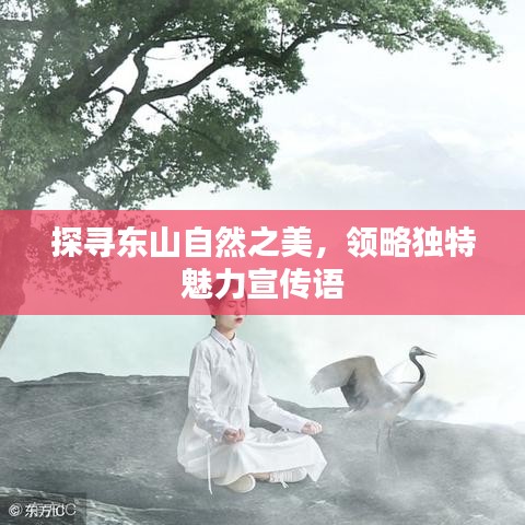 探尋東山自然之美，領(lǐng)略獨特魅力宣傳語
