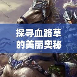 探尋血路草的美麗奧秘，百度圖片帶你領(lǐng)略血路草的風(fēng)采
