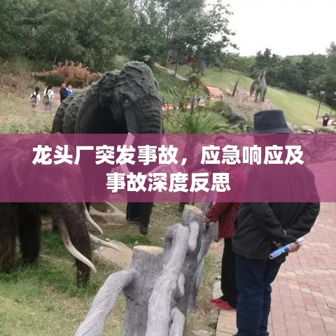龍頭廠突發(fā)事故，應(yīng)急響應(yīng)及事故深度反思