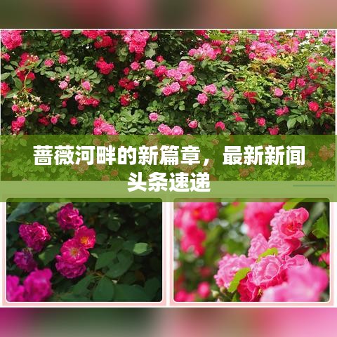 薔薇河畔的新篇章，最新新聞?lì)^條速遞