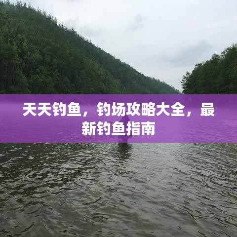 天天釣魚，釣場攻略大全，最新釣魚指南