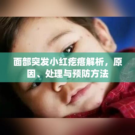 面部突發(fā)小紅疙瘩解析，原因、處理與預(yù)防方法