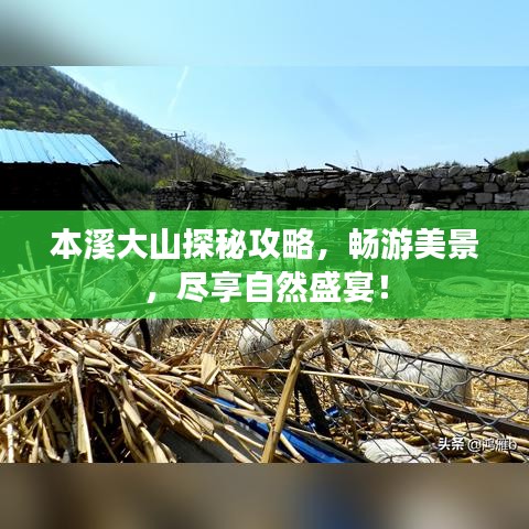 本溪大山探秘攻略，暢游美景，盡享自然盛宴！