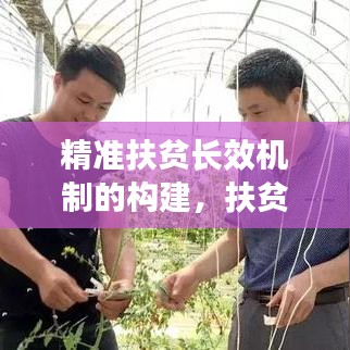 精準(zhǔn)扶貧長(zhǎng)效機(jī)制的構(gòu)建，扶貧項(xiàng)目庫(kù)建設(shè)的實(shí)踐與探索