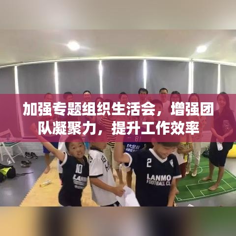 加強(qiáng)專題組織生活會(huì)，增強(qiáng)團(tuán)隊(duì)凝聚力，提升工作效率